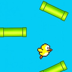 Bird Up